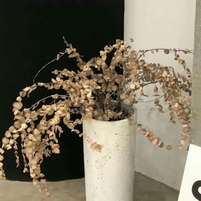 双牌福瑞交流群